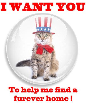 Free Button Maker Giveaway - Help Us Save Dogs and Cats!