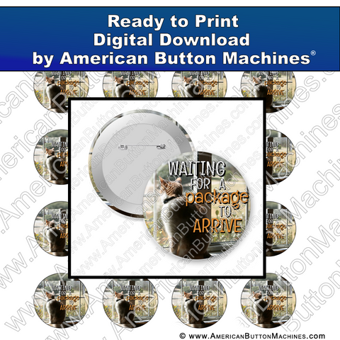 Digital Download, For Buttons, Digital Download for Buttons, Cat, kitten, waiting, treats, package, box